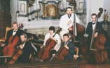 violoncela,kontrabasy
